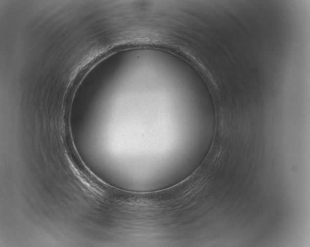 X0000077410677200610201422