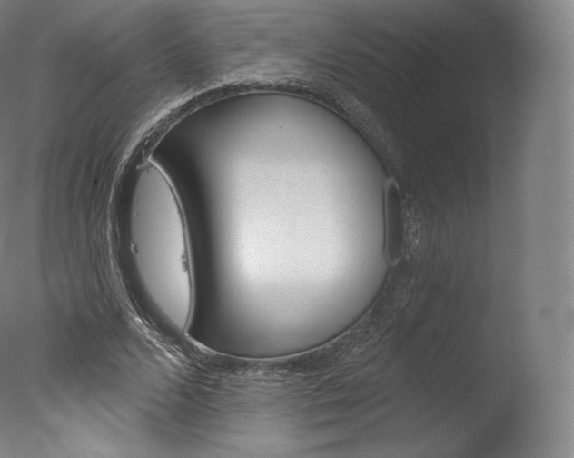 X0000077410680200610201422