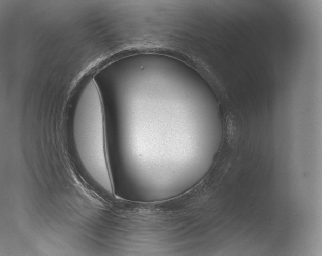 X0000077410684200610201422