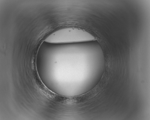 X0000077410696200610201422