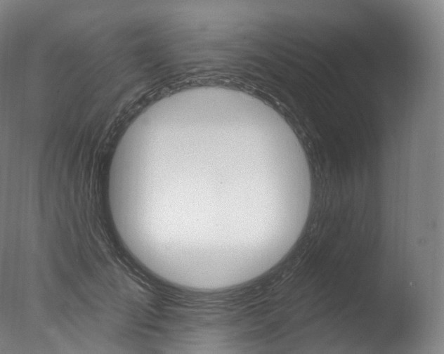 X0000077410701200610201422
