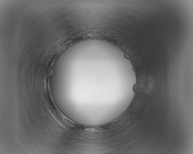 X0000077410703200610201422