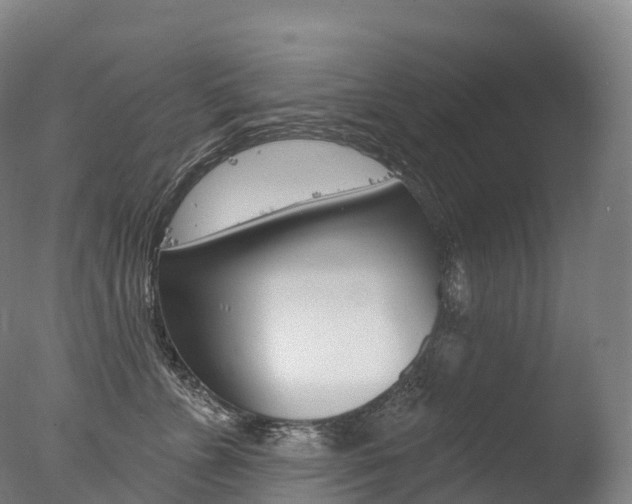 X0000077410715200610201422