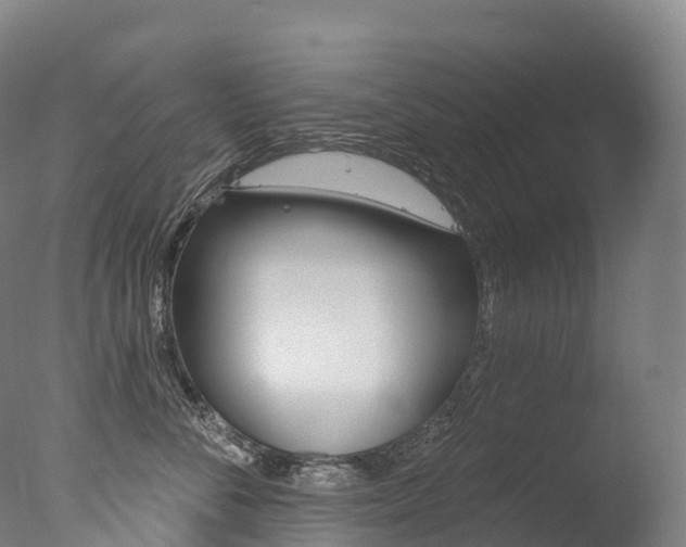 X0000077410716200610201422
