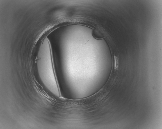 X0000077410723200610201421