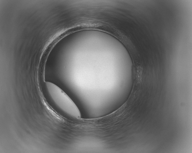 X0000077410726200610201421