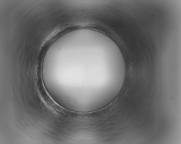 X0000077410730200610201421