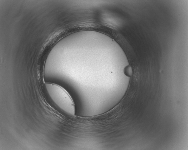 X0000077410731200610201421