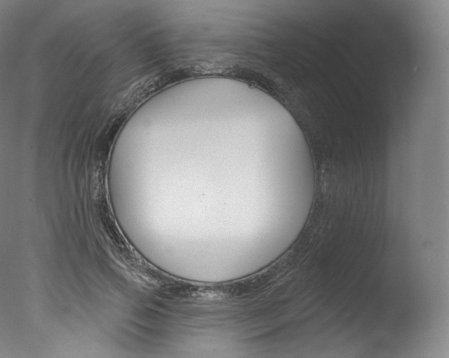 X0000077410741200610201421