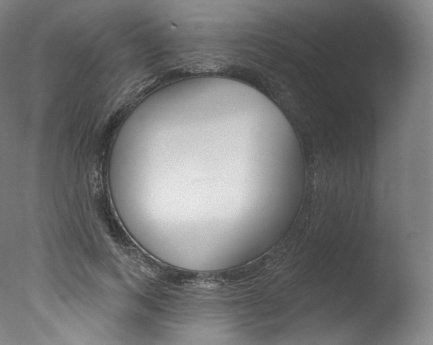 X0000077410743200610201421