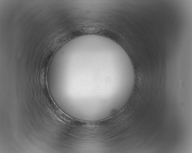 X0000077410745200610201421