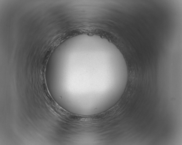 X0000077410749200610201421