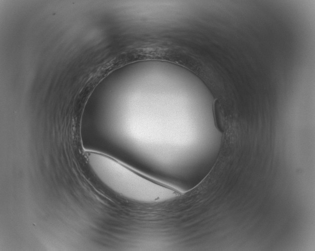 X0000077410752200610201421