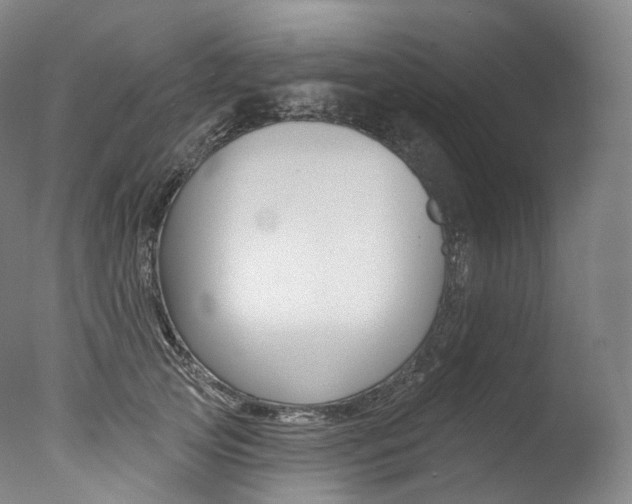 X0000077410753200610201421