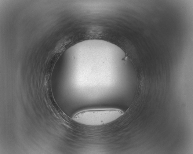 X0000077410759200610201422