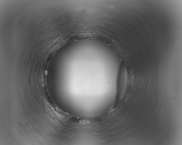 X0000077410764200610201422