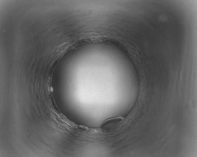 X0000077410768200610201422