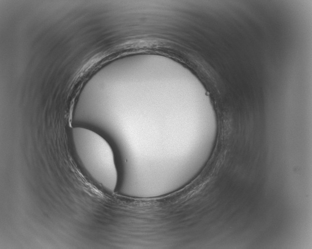X0000077410778200610201421