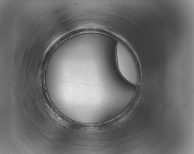 X0000077410783200610201421