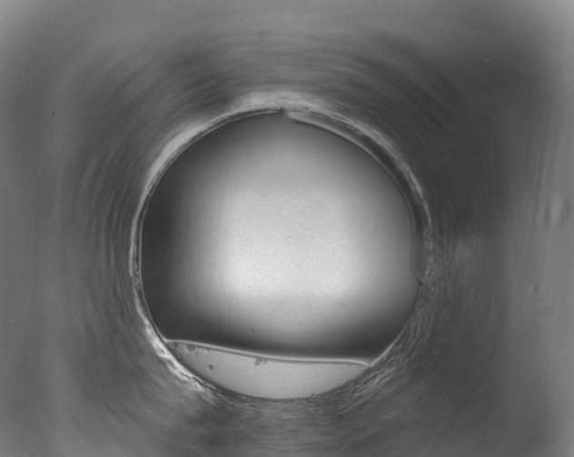 X0000077410815200610201420