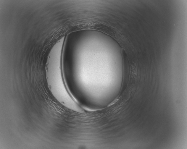 X0000077410818200610201419
