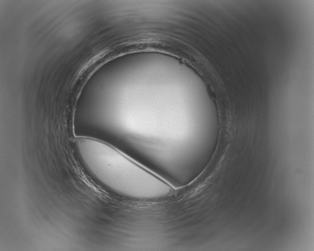 X0000077410826200610201419