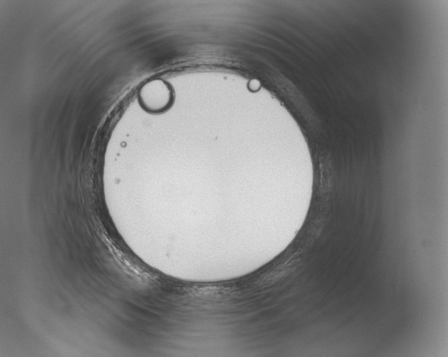X0000077410828200610201419