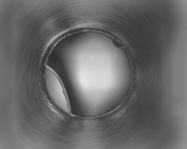 X0000077410830200610201420