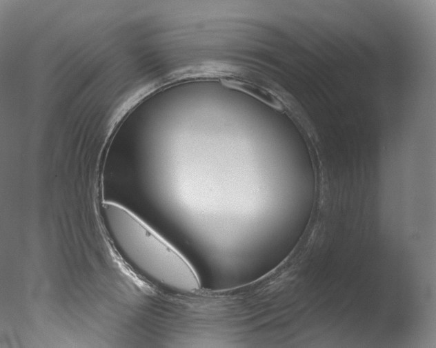X0000077410850200610201420