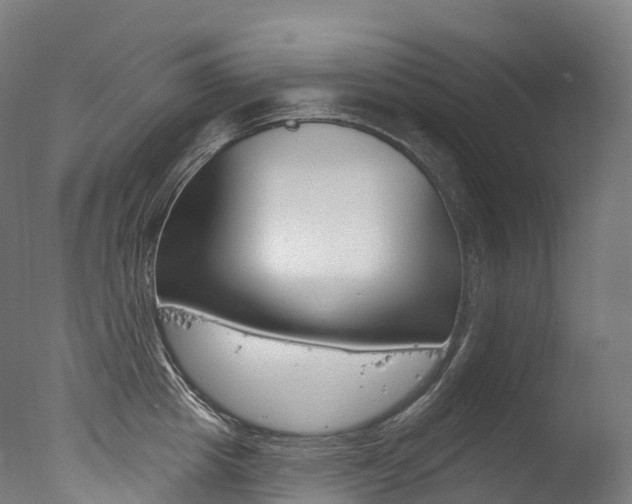 X0000077410857200610201420