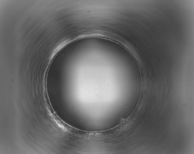 X0000077410858200610201420