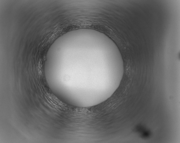 X0000077410866200610201419