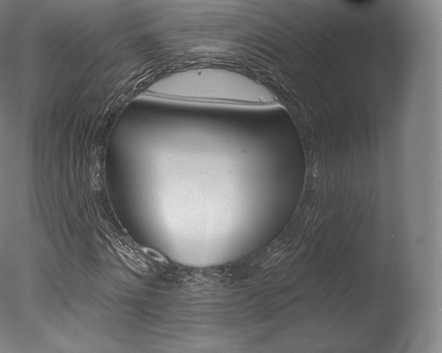 X0000077410868200610201419