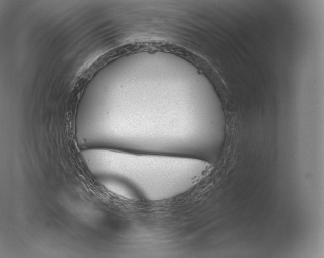 X0000077410871200610201419