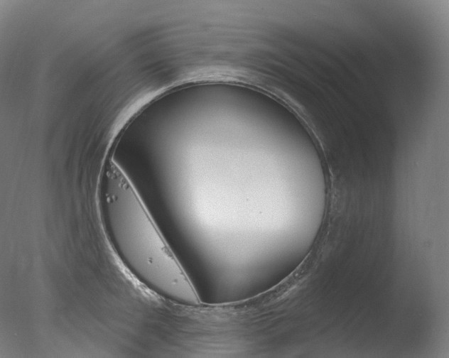 X0000077410901200610201419