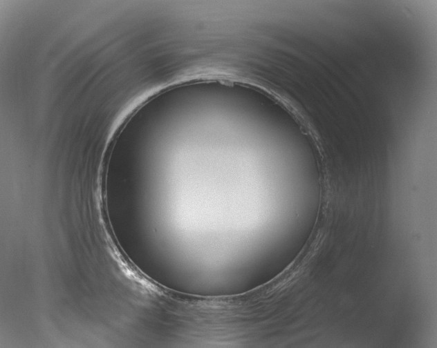 X0000077410904200610201419