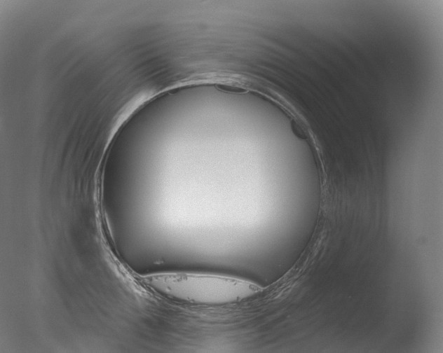 X0000077410907200610201419