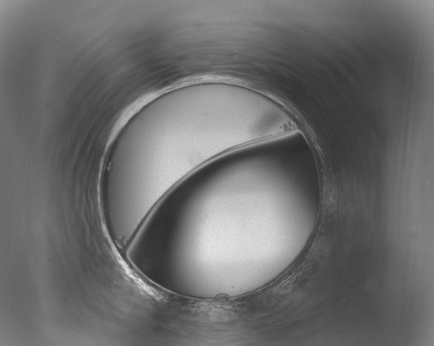 X0000077410910200610201419