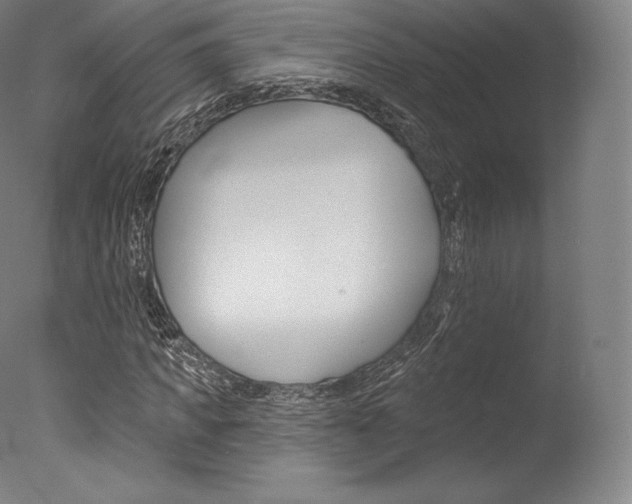 X0000077410917200610201418