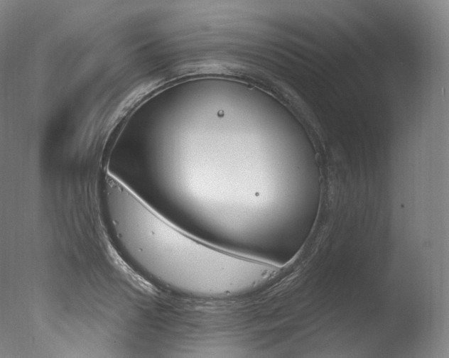 X0000077410938200610201418
