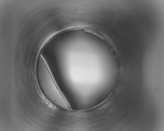 X0000077410948200610201418