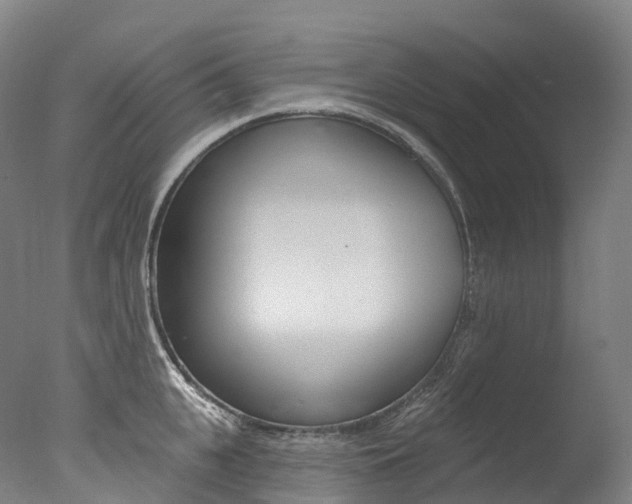 X0000077410951200610201418