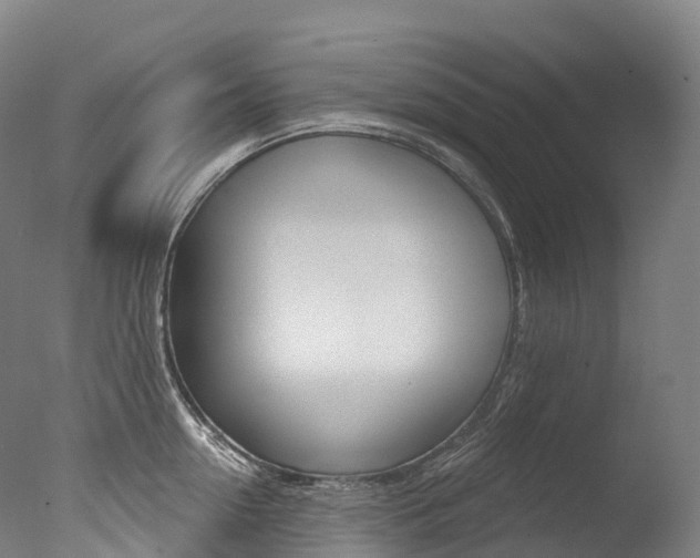X0000077410954200610201418