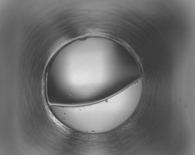 X0000077410955200610201418