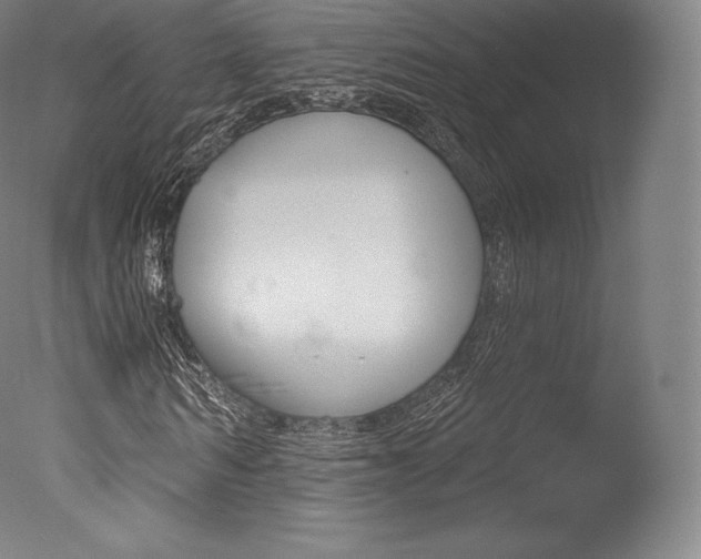 X0000077410962200610201418