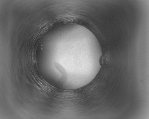 X0000077410964200610201418