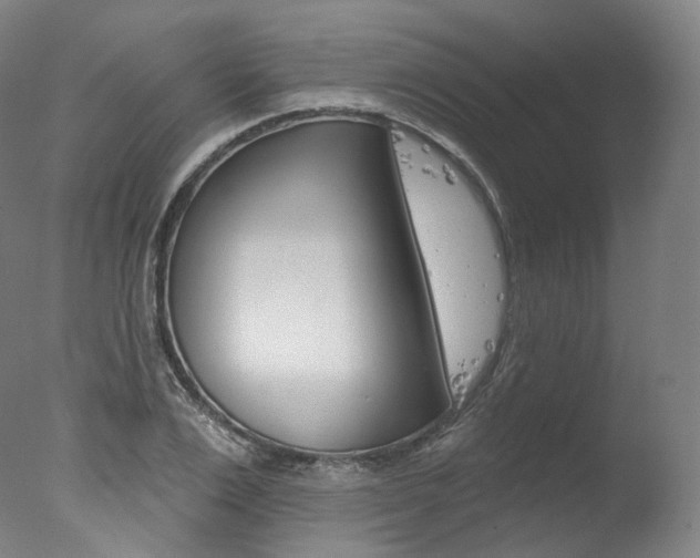 X0000077410983200610201417