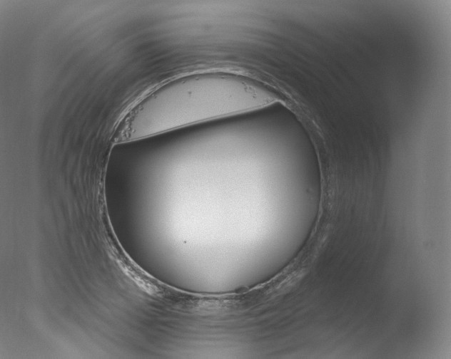 X0000077410985200610201417