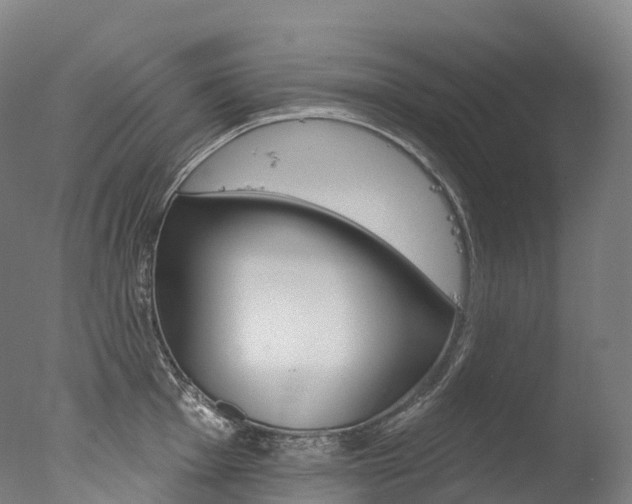 X0000077411001200610201417
