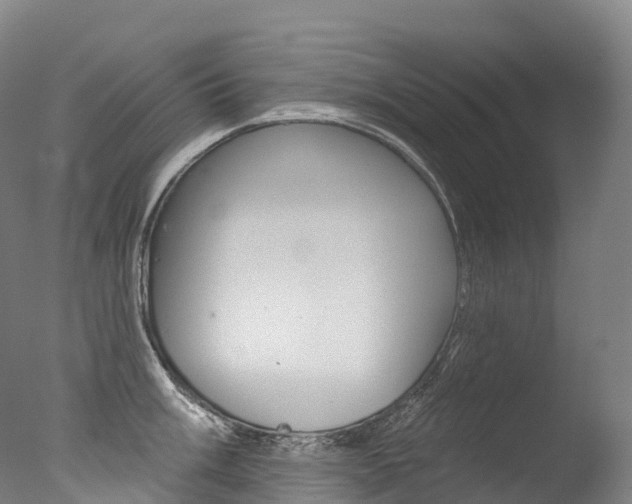 X0000077411003200610201417